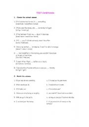 English worksheet: Conditionals