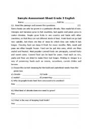 English worksheet: Sample Asessment Grade 3
