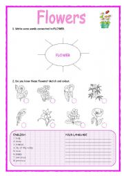 CLIL: TEACHING FLOWERS 1/3 - LESSON