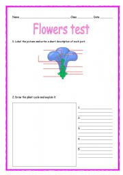 English Worksheet: CLIL: TEACHING FLOWERS 2/3 - TEST