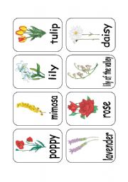 CLIL: TEACHING FLOWERS 3/3 - PICTURES