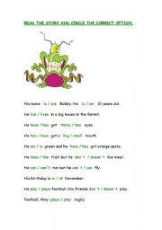 English worksheet: Simple Present