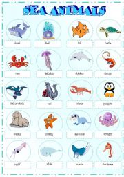 English Worksheet: sea animals pictionary (part 1)