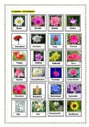 English Worksheet: Flowers pictionary