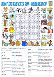 English Worksheet: WHAT DID THE CATS DO? - PAST SIMPLE