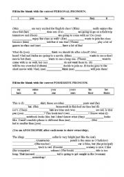 Personal and Possessive Pronoun Worksheet