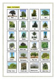 Trees pictionary