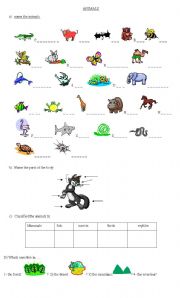 English Worksheet: ANIMAL - CLASSIFICATION