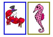 Sea animals flashcards