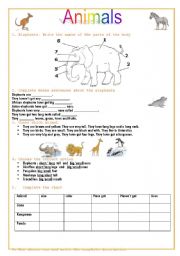 English Worksheet: Animals