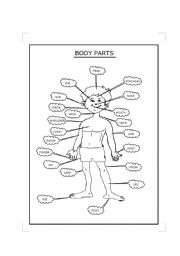 English Worksheet: BODY PARTS