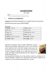 English worksheet: Reading and language usage