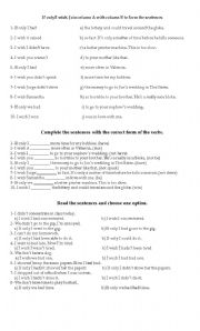 English Worksheet: If only / I wish