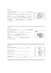 English Worksheet: Animal`s description