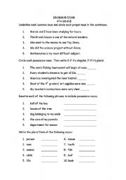 English worksheet: Grammar Exam (nouns and pronouns)