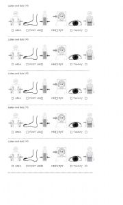 English Worksheet: Body parts