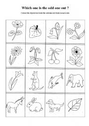 English Worksheet: The odd one out