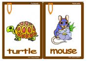 Animals flashcards