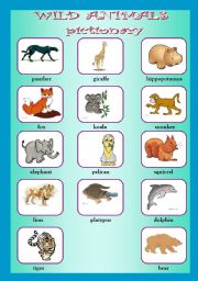 English Worksheet: Wild animals pictionary