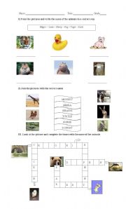 English worksheet: animals