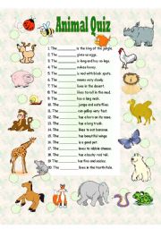 English Worksheet: Animal Quiz