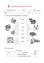 English Worksheet: nouns