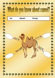 English worksheet: camel properties