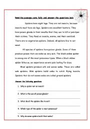 English Worksheet: reading