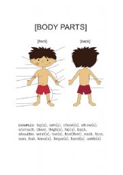 bodyparts