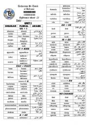 English worksheet: Irregular Nouns Plurals. (Author-Bouabdellah)