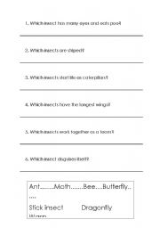 English Worksheet: Insect Quiz
