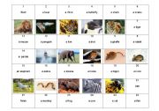 Animal Board Game