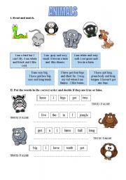 English Worksheet: FUNNY ANIMALS