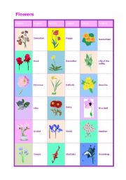 English Worksheet: Flowers