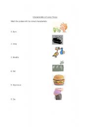 English Worksheet: Characteristics of Living Things