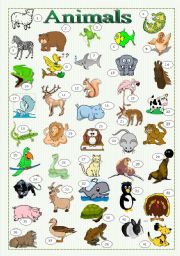 English Worksheet: Animals - pictionary + writing + conversation ((3 pages))