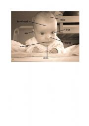 English Worksheet: face of infant