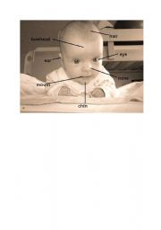 English worksheet: face of infant