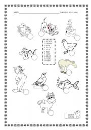 English worksheet: animals