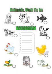 English worksheet: Animals. Verb To Be.