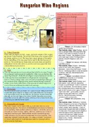 English Worksheet: Hungarian Wine Regions