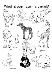 English Worksheet: Animal Theme Worksheet set