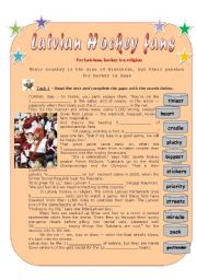 English Worksheet: Latvian Hockey fans (ws + key + video link)