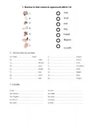 English Worksheet: human body 2