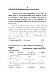 English Worksheet: Reading Exam