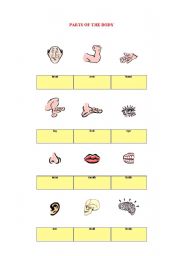English Worksheet: parts of the body