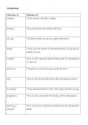 English worksheet: Parts of an Aeroplane