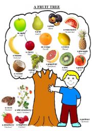 English Worksheet: A fruit tree