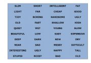 English worksheet: Adjective Game