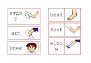 English worksheet: body